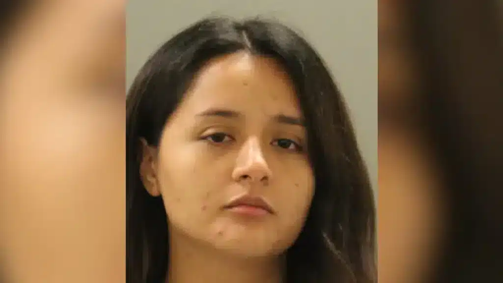 DE Teacher Arrested